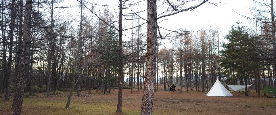 北軽井沢　どんぐり山の一番星キャンプ場
